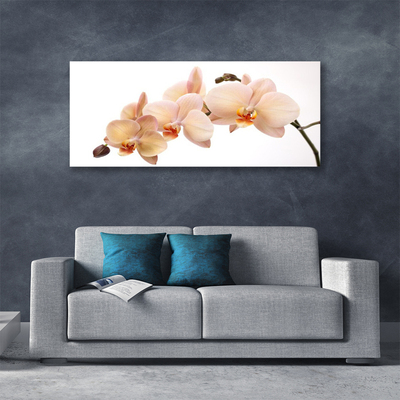 Tableaux sur toile Fleurs floral blanc brun