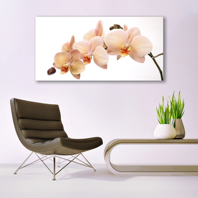 Tableaux sur toile Fleurs floral blanc brun