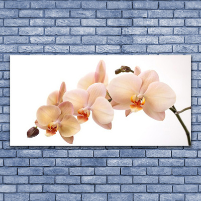 Tableaux sur toile Fleurs floral blanc brun