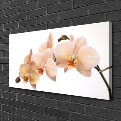 Tableaux sur toile Fleurs floral blanc brun