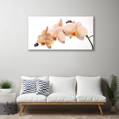 Tableaux sur toile Fleurs floral blanc brun