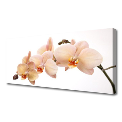 Tableaux sur toile Fleurs floral blanc brun