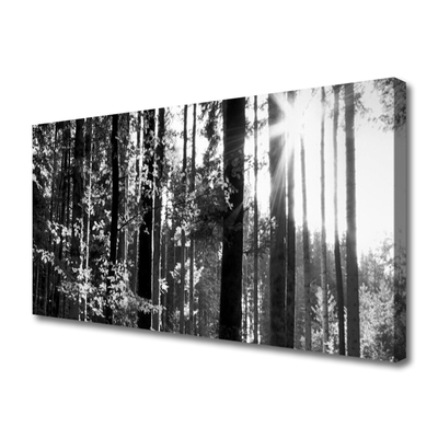 Tableaux sur toile Forêt nature gris