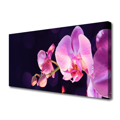 Tableaux sur toile Fleurs floral rose violet
