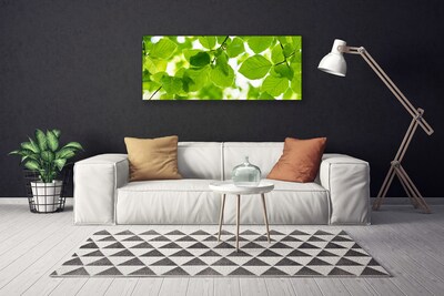 Tableaux sur toile Feuilles floral vert