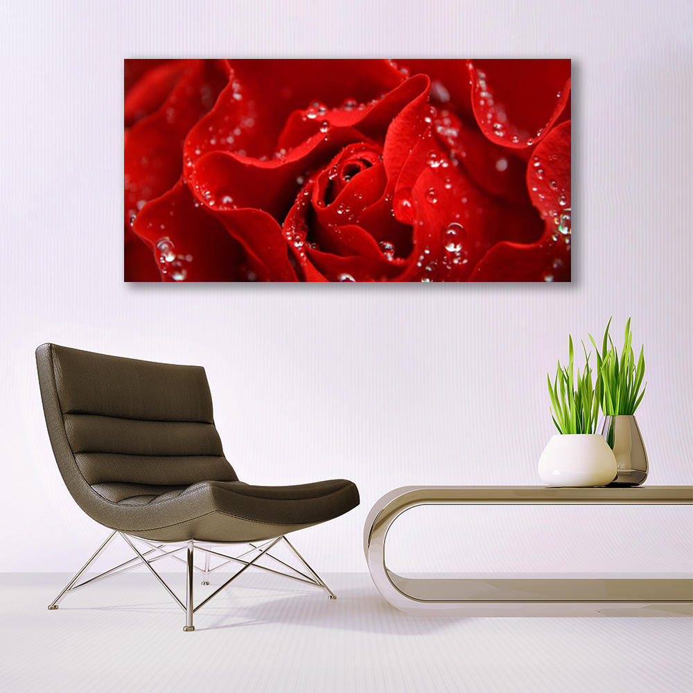 Tulup Tableau Sur Toile Image Imprimé 50x100cm - Coquelicots