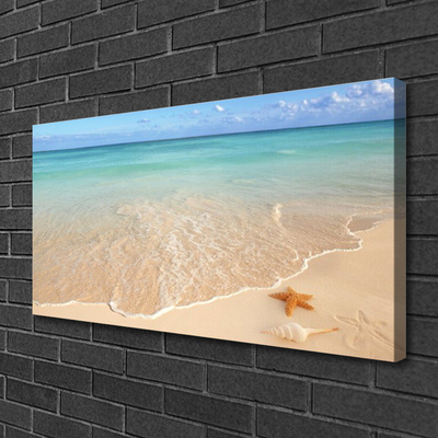 Tableaux sur toile Mer plage étoile de mer paysage bleu brun