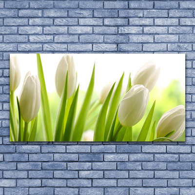 Tableaux sur toile Tulipes floral blanc vert