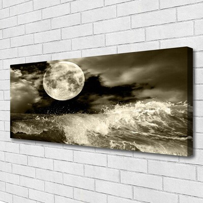 Tableaux sur toile Nuit lune paysage gris noir