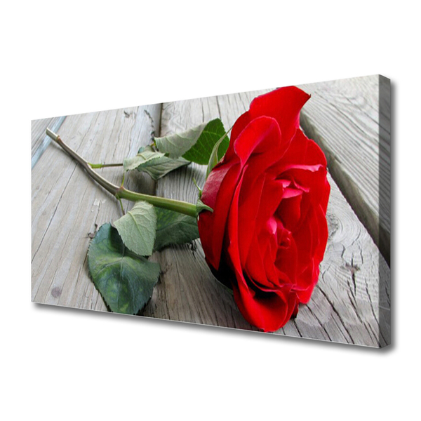 Tableaux sur toile Rose floral rouge vert