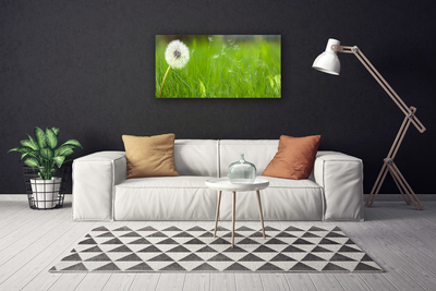 Tableaux sur toile Pissenlit herbe floral blanc vert