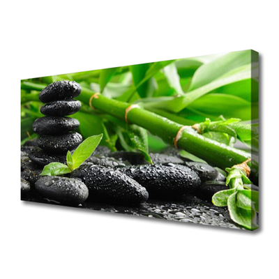 Tableaux sur toile Bambou pierres floral vert noir