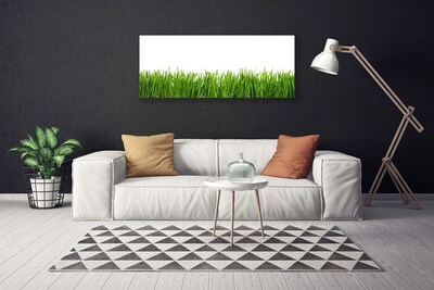 Tableaux sur toile Herbe nature vert