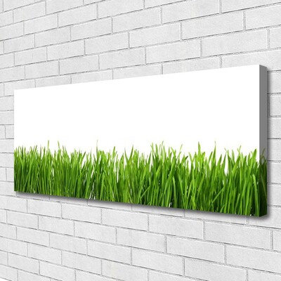 Tableaux sur toile Herbe nature vert