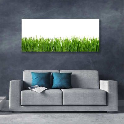 Tableaux sur toile Herbe nature vert