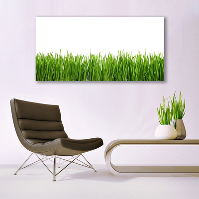 Tableaux sur toile Herbe nature vert