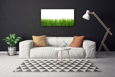 Tableaux sur toile Herbe nature vert