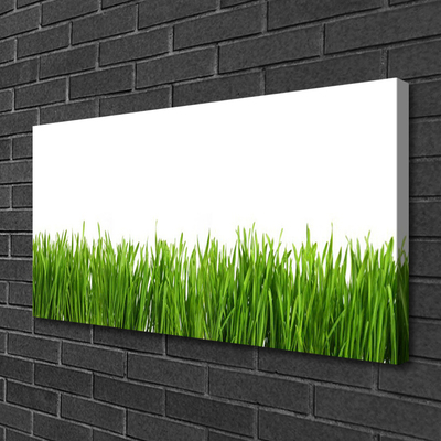 Tableaux sur toile Herbe nature vert