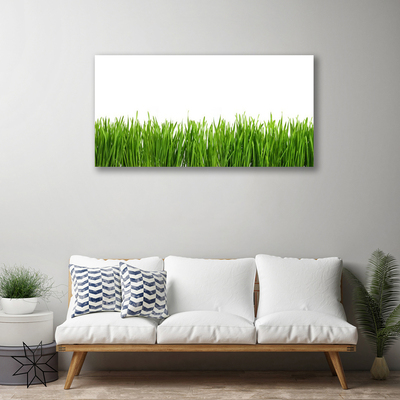 Tableaux sur toile Herbe nature vert