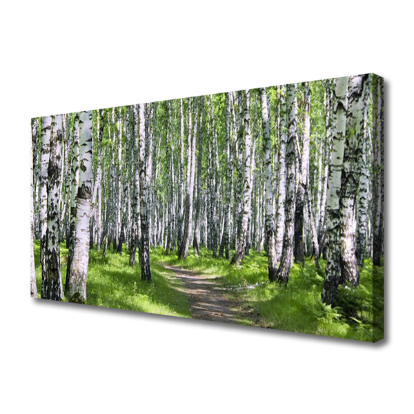 Tableaux sur toile Forêt sentier nature vert brun blanc noir