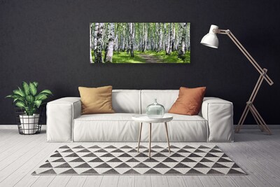 Tableaux sur toile Forêt sentier nature vert brun blanc noir