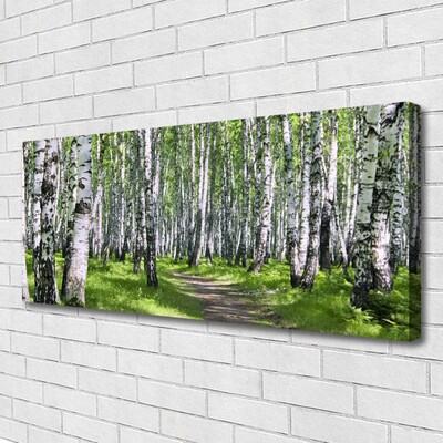 Tableaux sur toile Forêt sentier nature vert brun blanc noir