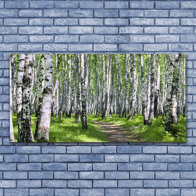 Tableaux sur toile Forêt sentier nature vert brun blanc noir