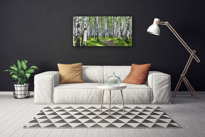 Tableaux sur toile Forêt sentier nature vert brun blanc noir