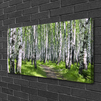 Tableaux sur toile Forêt sentier nature vert brun blanc noir