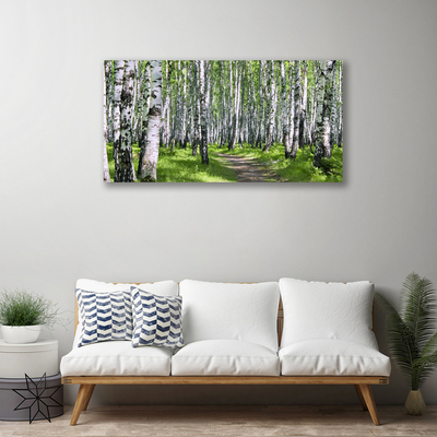 Tableaux sur toile Forêt sentier nature vert brun blanc noir