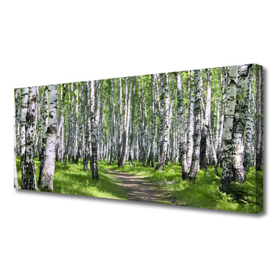 Tableaux sur toile Forêt sentier nature vert brun blanc noir