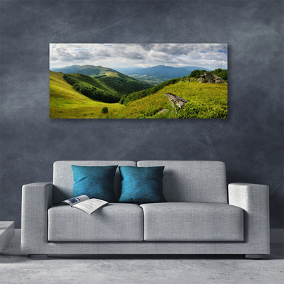 Tableaux sur toile Montagne prairie paysage vert gris