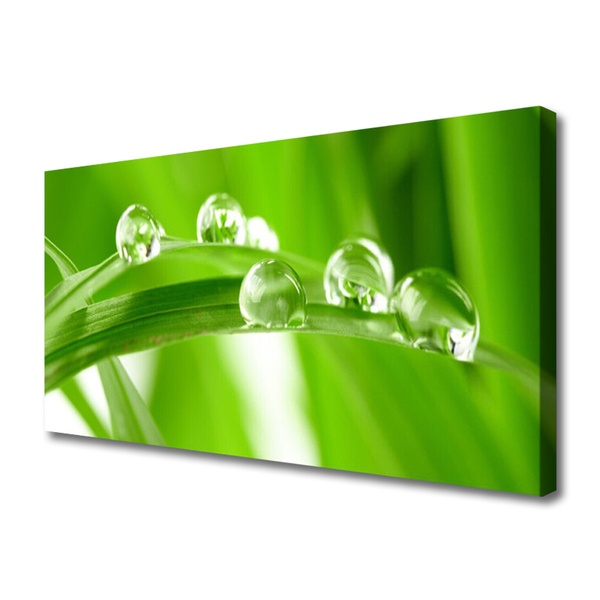 Tableaux sur toile Feuilles floral vert