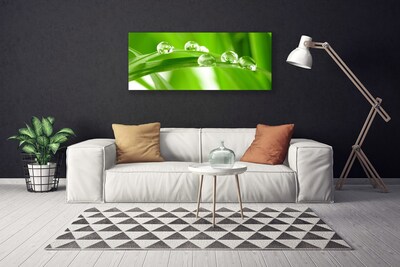 Tableaux sur toile Feuilles floral vert