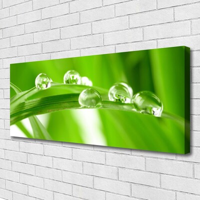 Tableaux sur toile Feuilles floral vert