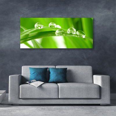 Tableaux sur toile Feuilles floral vert