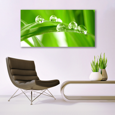 Tableaux sur toile Feuilles floral vert