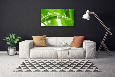 Tableaux sur toile Feuilles floral vert