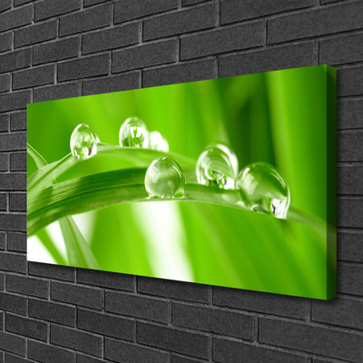 Tableaux sur toile Feuilles floral vert