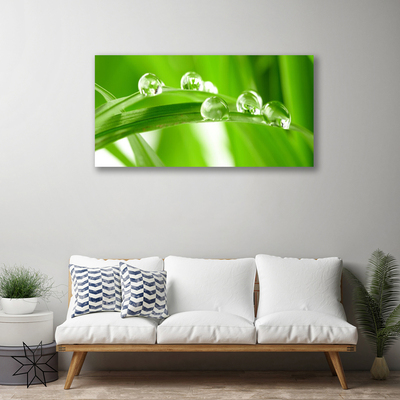 Tableaux sur toile Feuilles floral vert