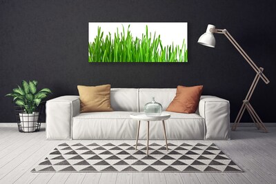 Tableaux sur toile Herbe floral vert