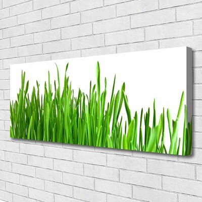 Tableaux sur toile Herbe floral vert