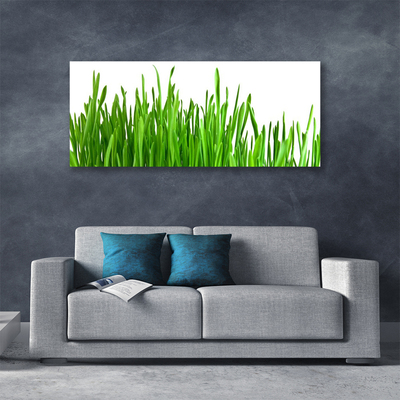 Tableaux sur toile Herbe floral vert