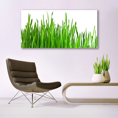 Tableaux sur toile Herbe floral vert