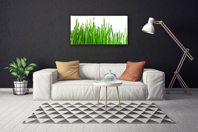 Tableaux sur toile Herbe floral vert