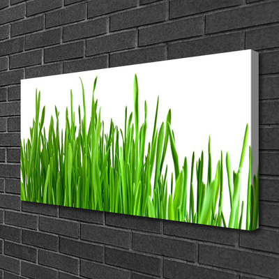 Tableaux sur toile Herbe floral vert