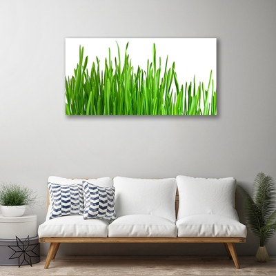 Tableaux sur toile Herbe floral vert