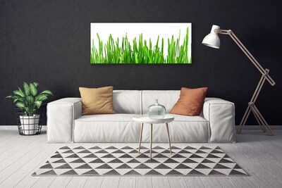 Tableaux sur toile Herbe floral vert