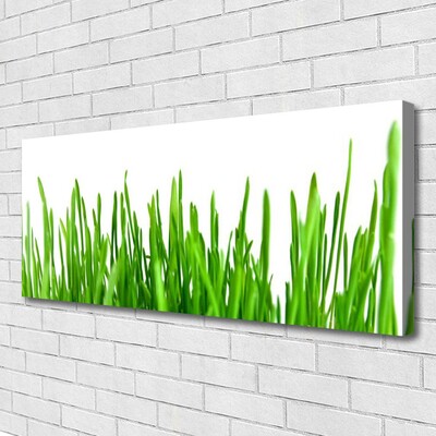 Tableaux sur toile Herbe floral vert