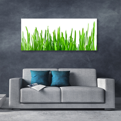 Tableaux sur toile Herbe floral vert